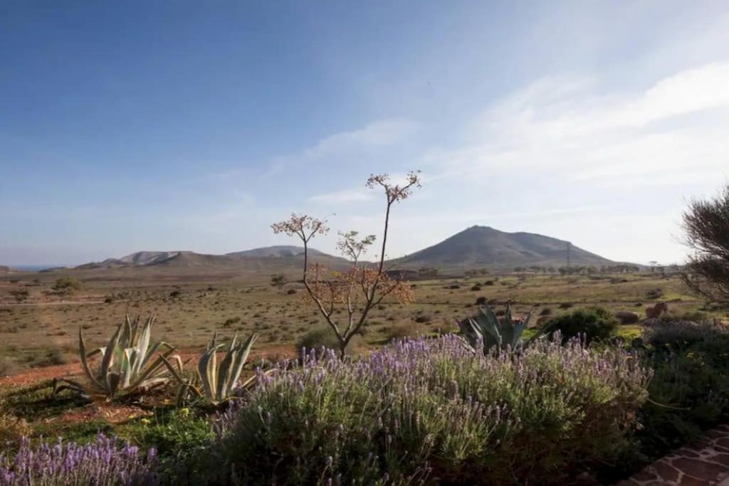 El Risco Colorado, Cabo De Gata Villa โรดัลกีลาร์ ภายนอก รูปภาพ